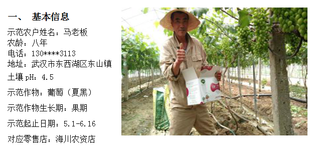 示范案例——葡萄試驗
