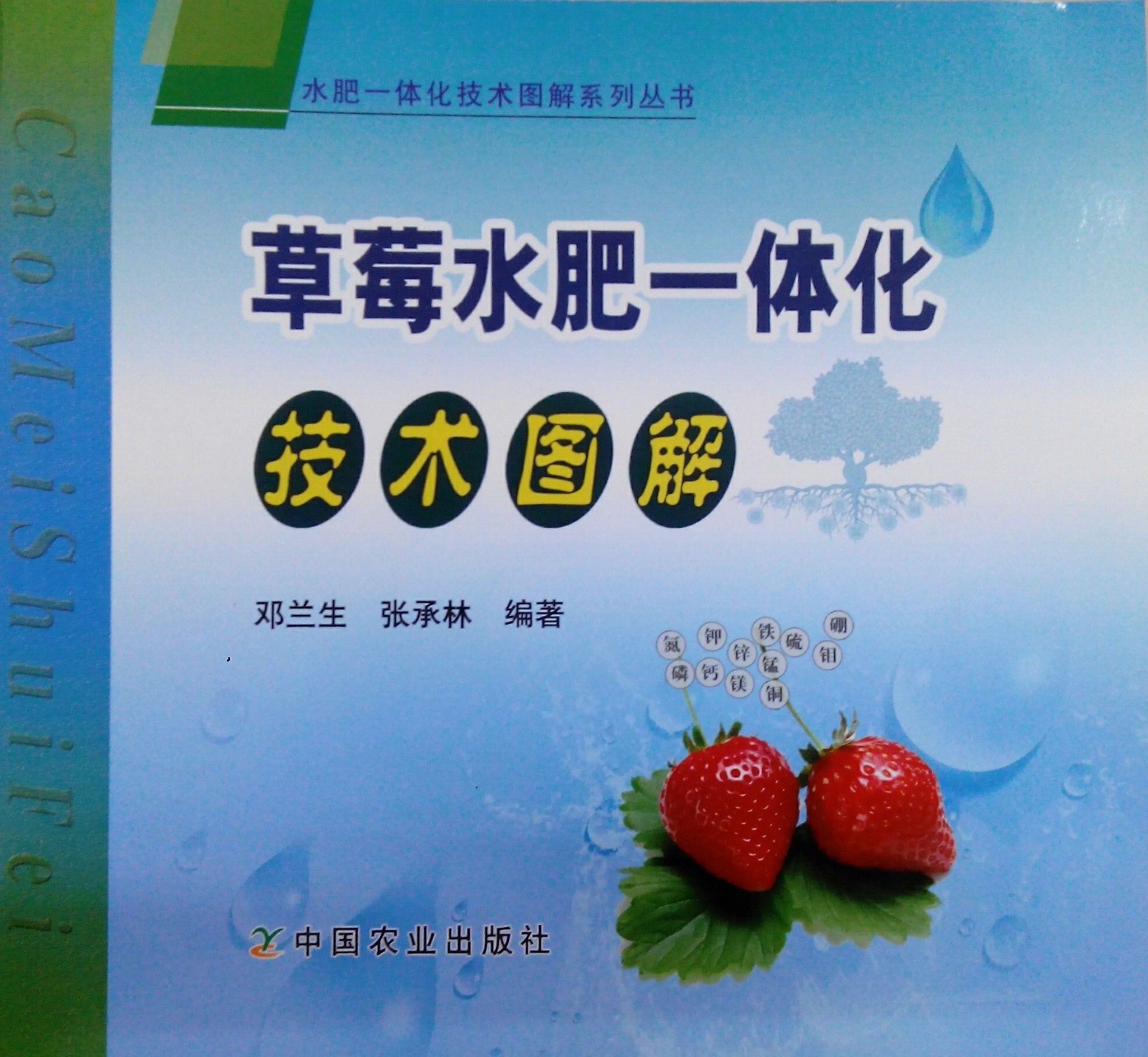 《草莓水肥一體化技術(shù)圖解》書籍推薦